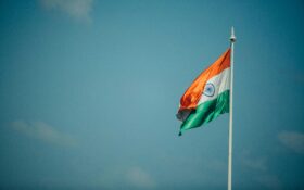 인도 신품종 커피