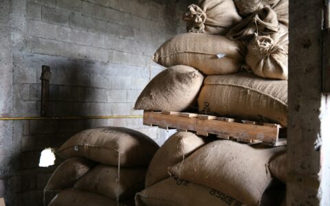 에티오피아 정부 커피 단속