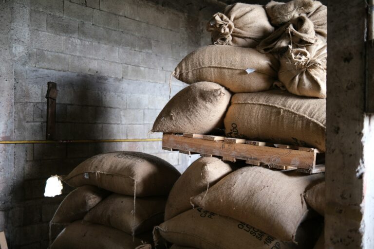 에티오피아 정부 커피 단속