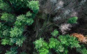 eudr 1년 추가 연기