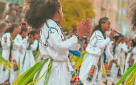 에티오피아 스페셜티 커피 협회