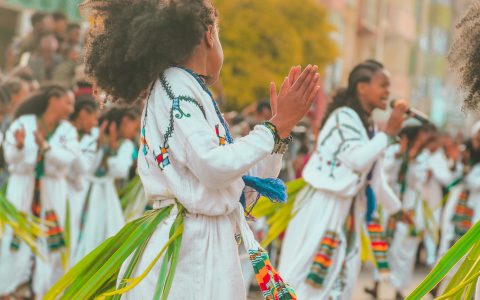 에티오피아 스페셜티 커피 협회