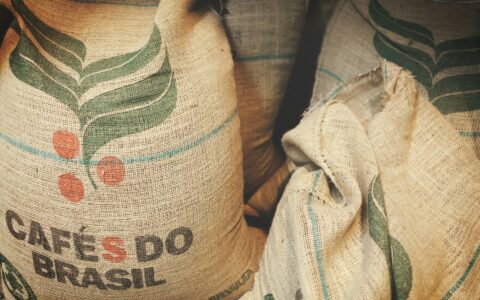 브라질 로부스타 생산 증가