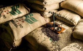 2026 커피 생산량