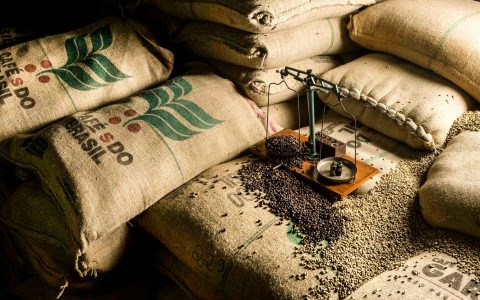 2026 커피 생산량